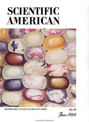 Scientific American Magazine Vol 250 Issue 6