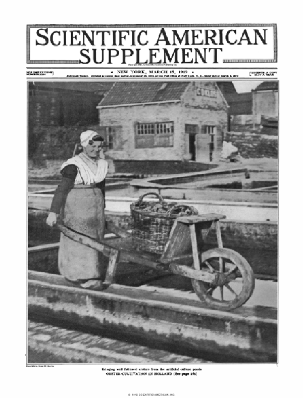 SA Supplements Vol 87 Issue 2254supp