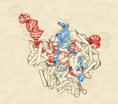 大众科学 Logo