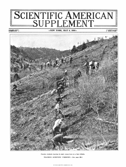 SA Supplements Vol 81 Issue 2105supp