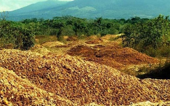 A Fruitful Experiment in Land Conservation