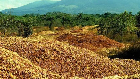 A Fruitful Experiment in Land Conservation