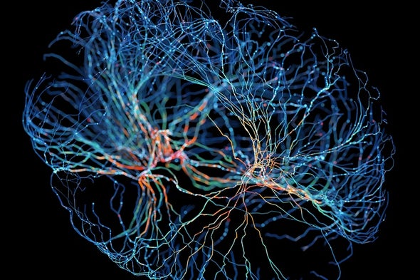 Mind & Brain News and Research - Scientific American