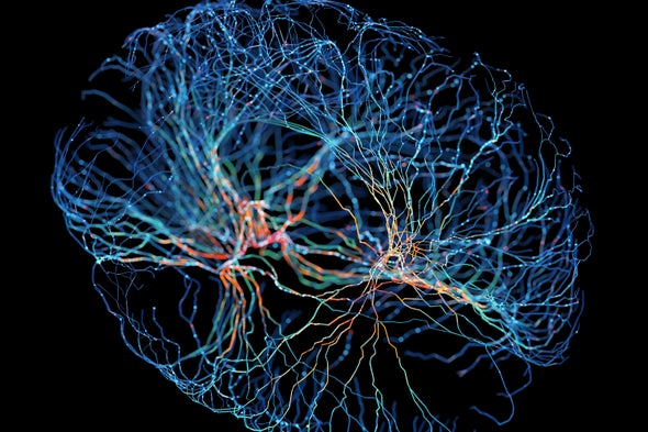 The Kavli Prize Presents: How Your Brain Maps the World [Sponsored]