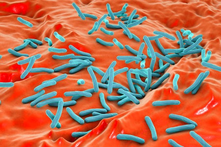 Blue bacteria are shown against an orange background.