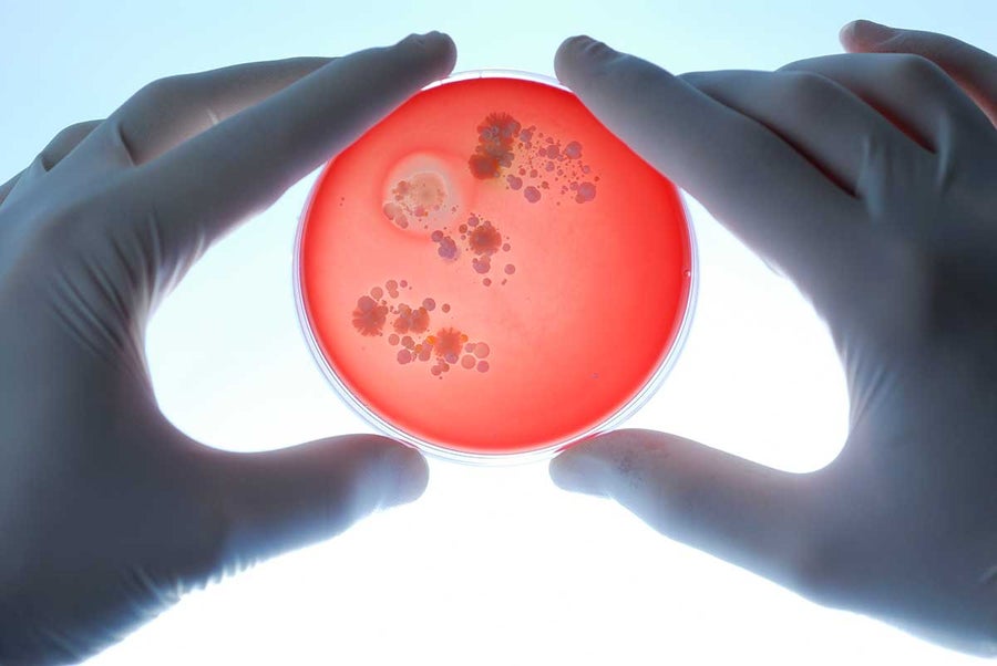 Does our Microbiome Control Us or Do We Control It? | Scientific American