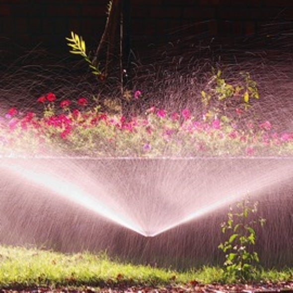 Smart Irrigation: A Supercomputer Waters the Lawn