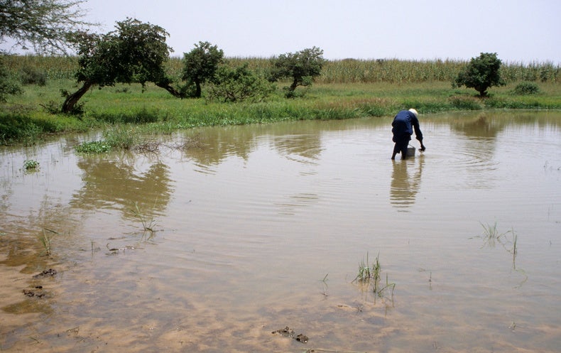 Guinea Worm Disease Nears Eradication - Scientific American