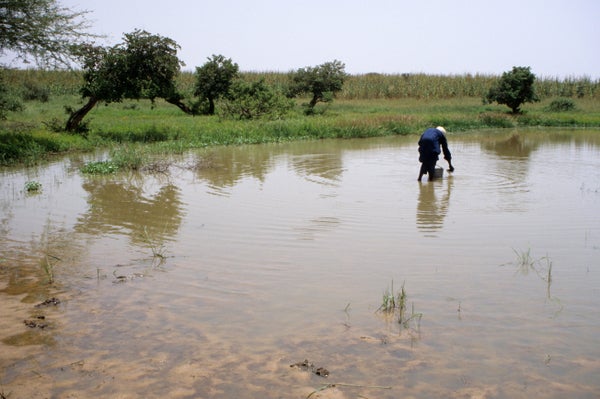 Man collecting water in shallow pond