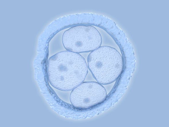 First Human Embryos Edited in the U.S., Scientists Say