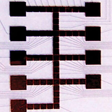 大众科学 Logo