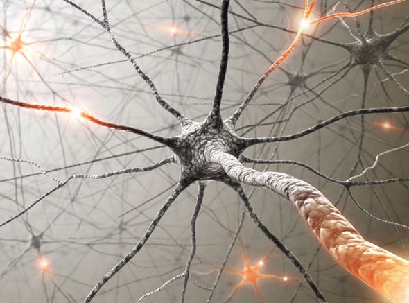 Memories May Not Live in Neurons’ Synapses