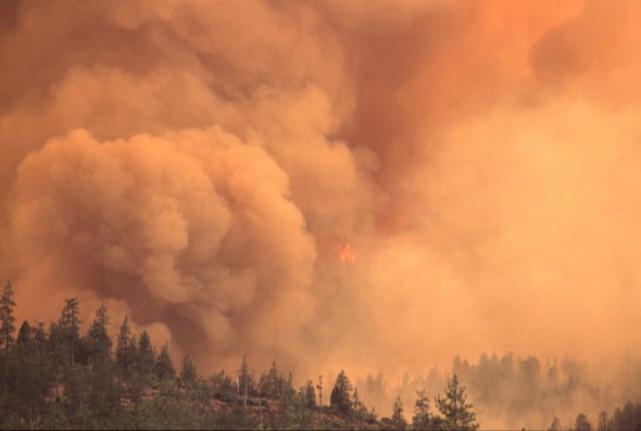 Severe Wildfires Rekindle Controversial Call for Deliberate Burns