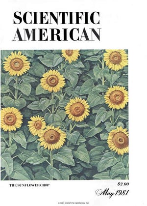 Scientific American Magazine Vol 244 Issue 5