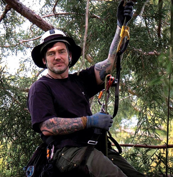 Cool Jobs: Professional Tree Climber