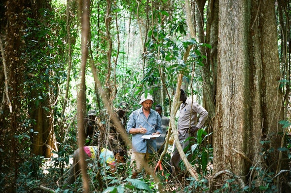Bitter Reality: Most Wild Coffee Species Risk Extinction Worldwide