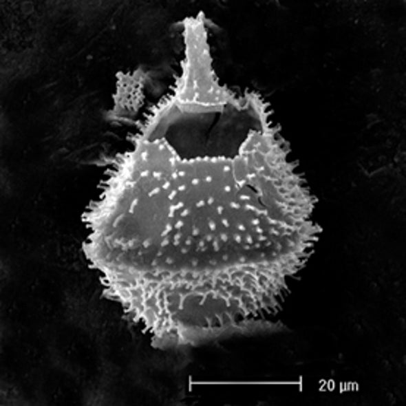 The Heat Was On: Atmospheric CO2 Triggered a Global Warming Event 40 Million Years Ago