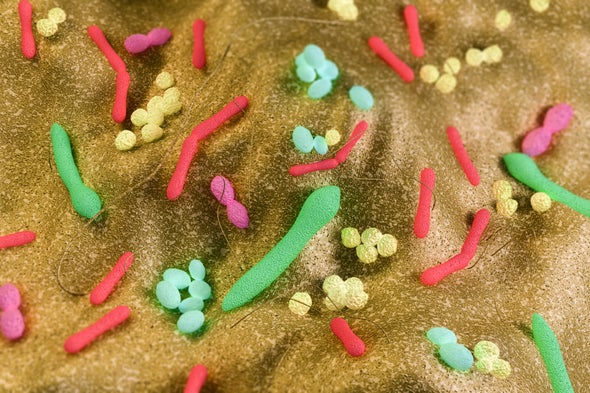 How Gut Microbiota Impacts HIV Disease