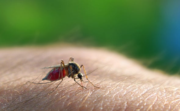 Do Mosquitoes Bite Some People More Than Others?
