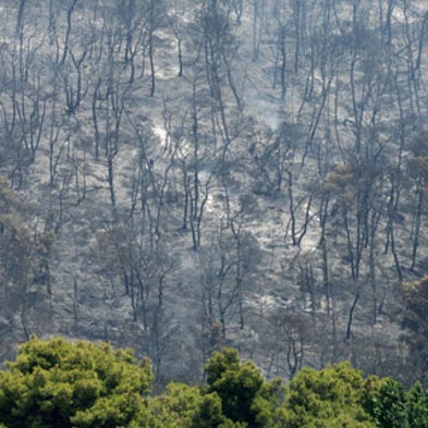Slide Show: What Does Climate Change Science Look Like?