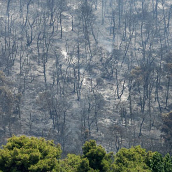Slide Show: What Does Climate Change Science Look Like?