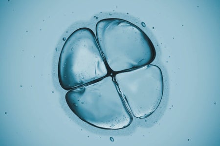Close up image of a cell split in four