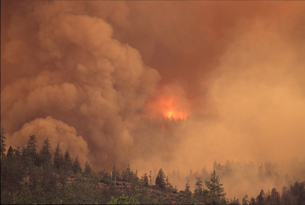 UC Berkeley team holding survey on wildfire evacuations