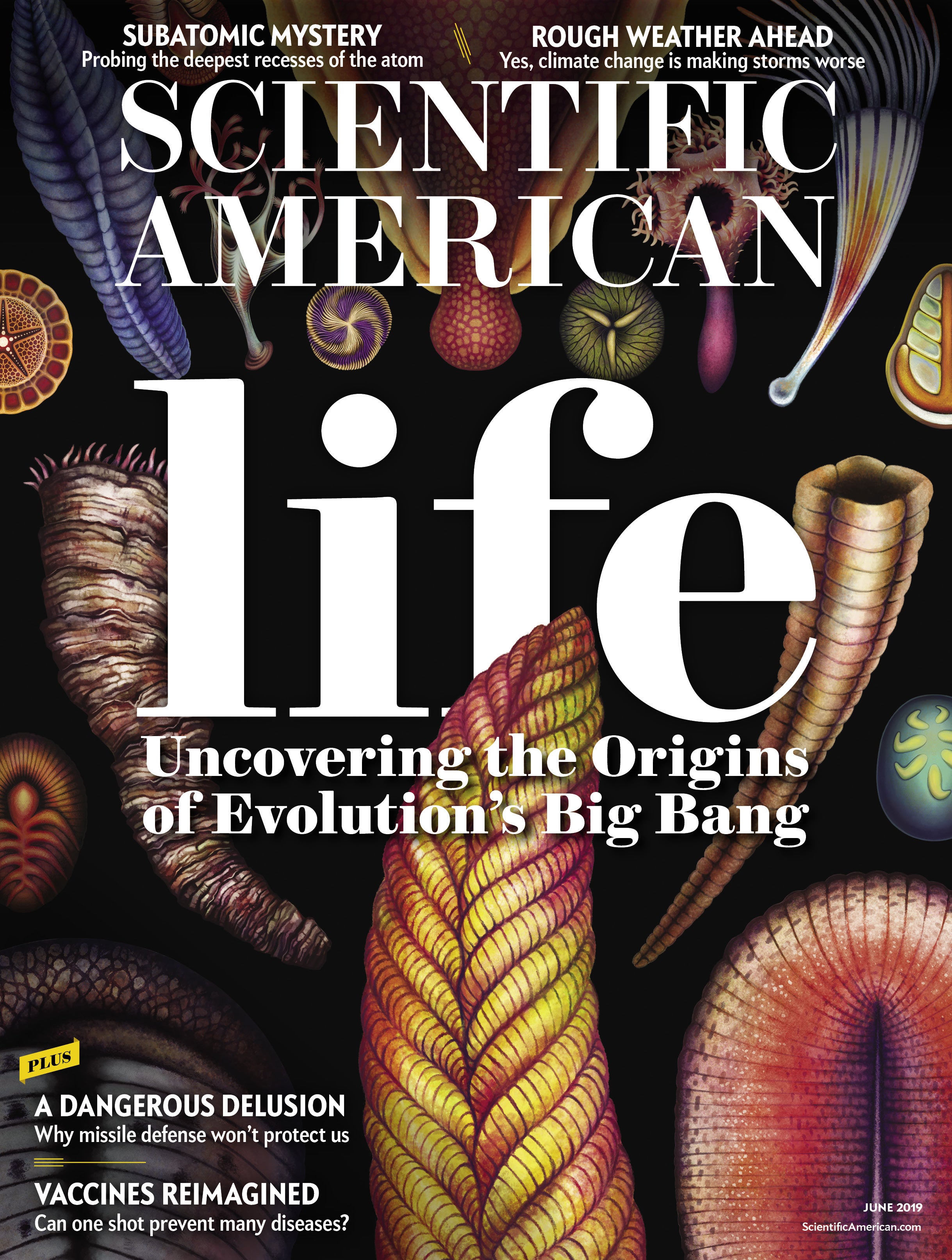 Scientific American Magazine Vol 320 Issue 6