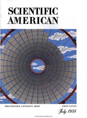 Scientific American Magazine Vol 199 Issue 1