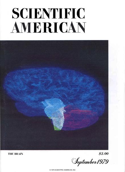 Scientific American Magazine Vol 241 Issue 3