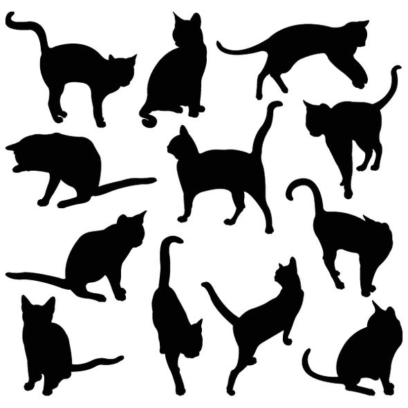 psychologists getting liberals to agree really is like herding cats