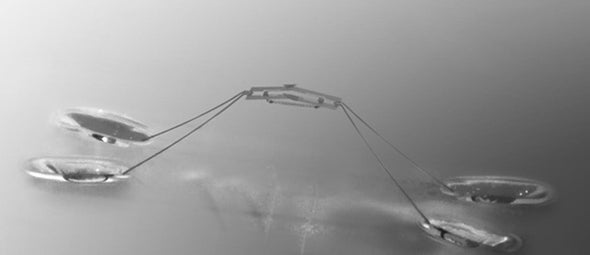 These Insect-Inspired Robots Can Jump on Water