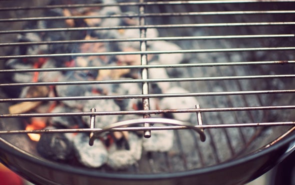 Beer Marinade Cuts Grilling Carcinogens