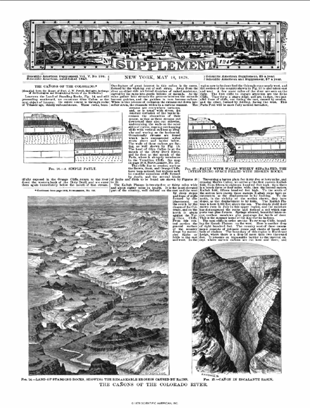 SA Supplements Vol 5 Issue 124supp