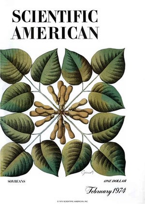 Scientific American Magazine Vol 230 Issue 2