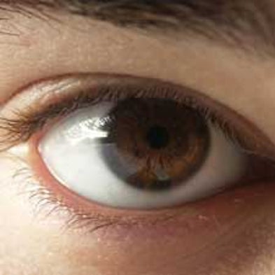 Relatives of Those with Autism Show Eye-Movement Deficits