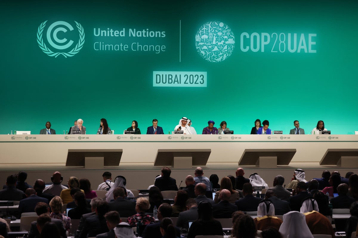 Don't expect CoP-28 to make real progress against climate change