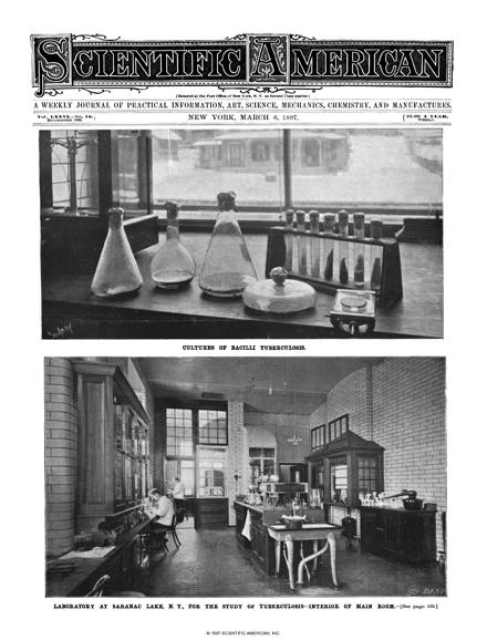 Scientific American Magazine Vol 76 Issue 10