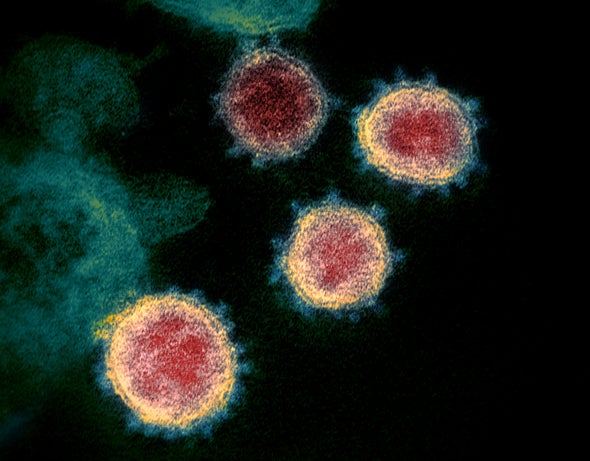 Second Coronavirus Strain May Be More Infectious--but Some Scientists Are Skeptical