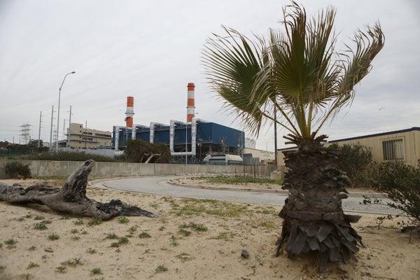 Power plant with palm tree in foreground