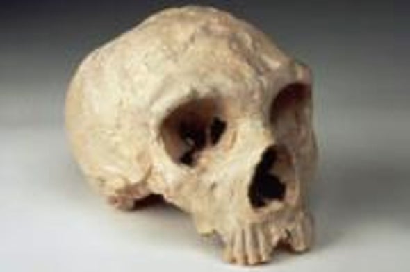 How to Reconstruct the Neandertal Genome