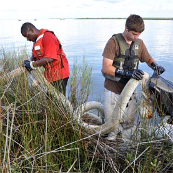 Volunteer Field Observer Program