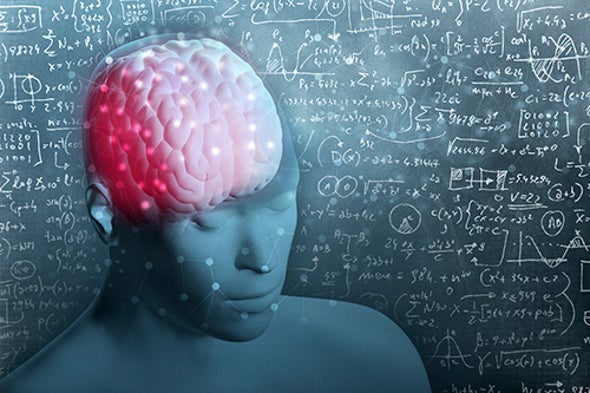 What Makes Our Brains Special? - Scientific American