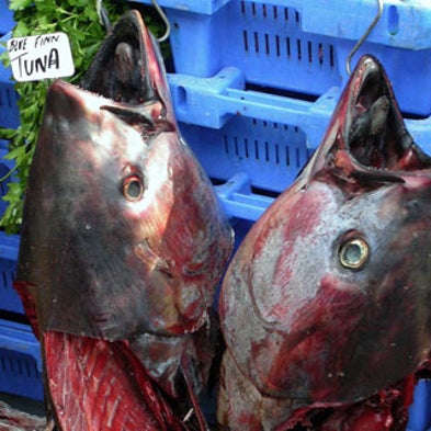 Study Links Air Pollution and Poisoned Seafood