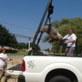 PULLEY TIME:
