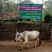 Assertion of self-governance at Mendha (Lekha) village.