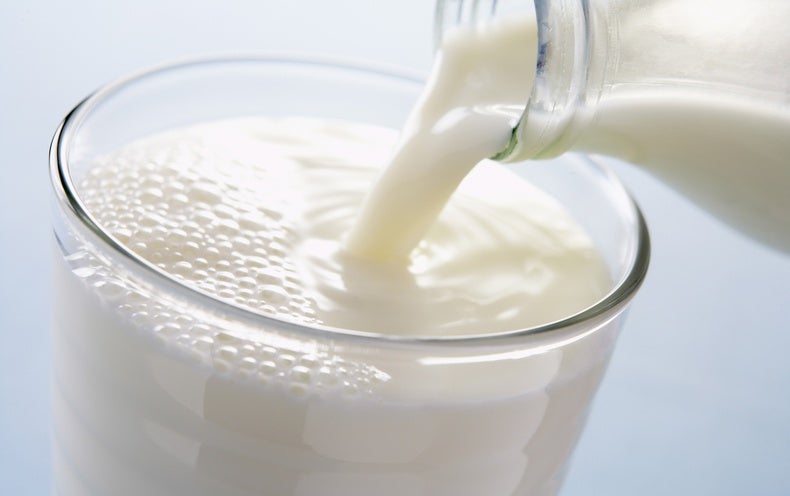 Is Drinking Milk Unnatural? - Scientific American