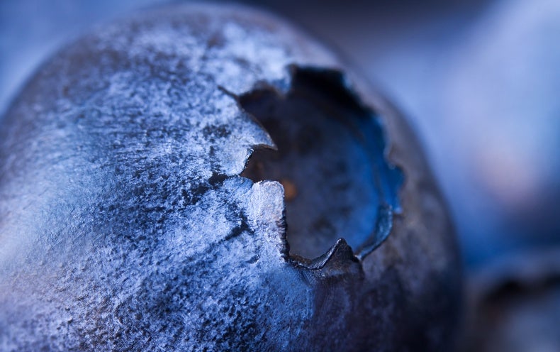 What If Earth Turned into a Giant Pile of Blueberries?