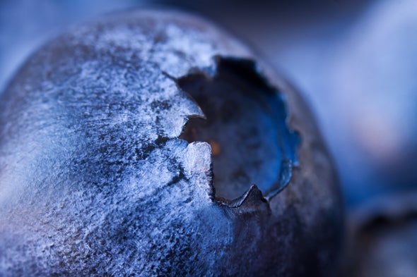 What If Earth Turned into a Giant Pile of Blueberries?
