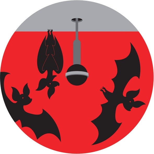 Bats in New Zealand Set Up "Time Shares"